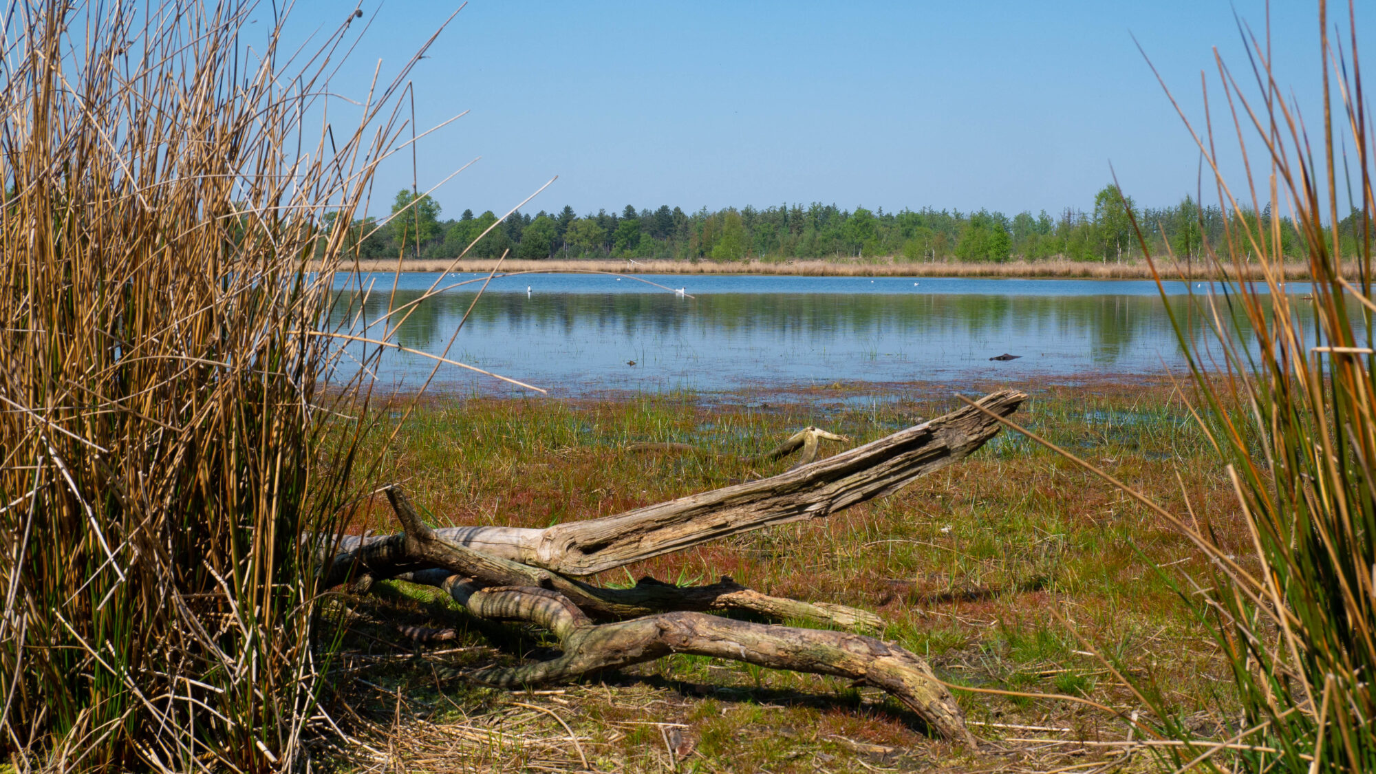 Future-proofing and Continuity for Heuvelrug Gooi en Vechtstreek.