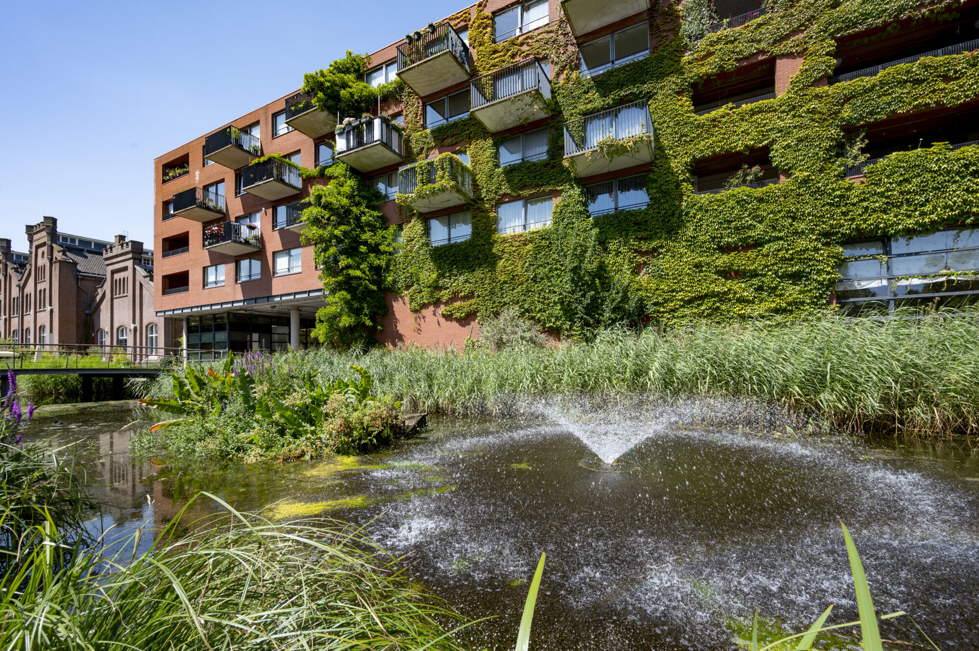 Gebouw in Leiden met groene platen op de buitenkant voor de klimaatadaptatie.
