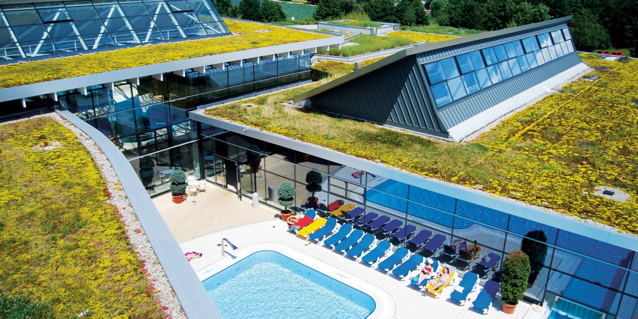 Een gebouw met groene grasdaken en een zwembad als voorbeeld voor klimaatadaptatie in Leiden.
