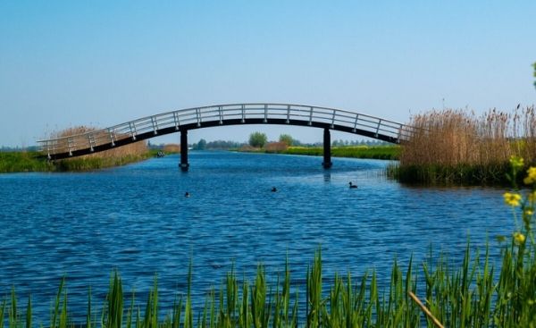 Water met brug