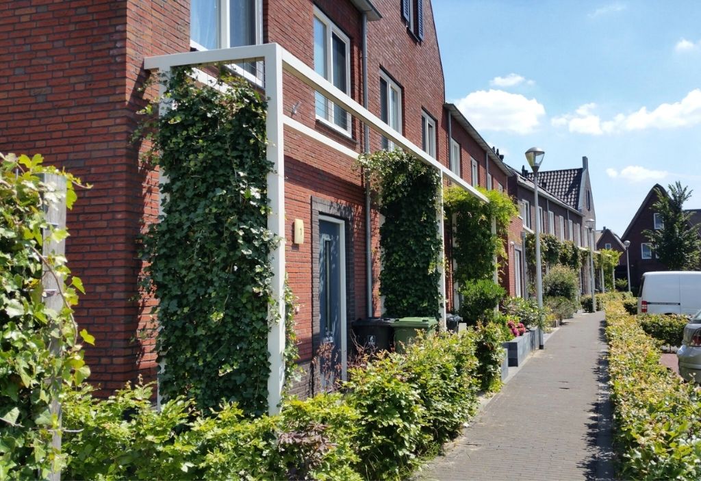 Handreiking Groen in en om de Stad