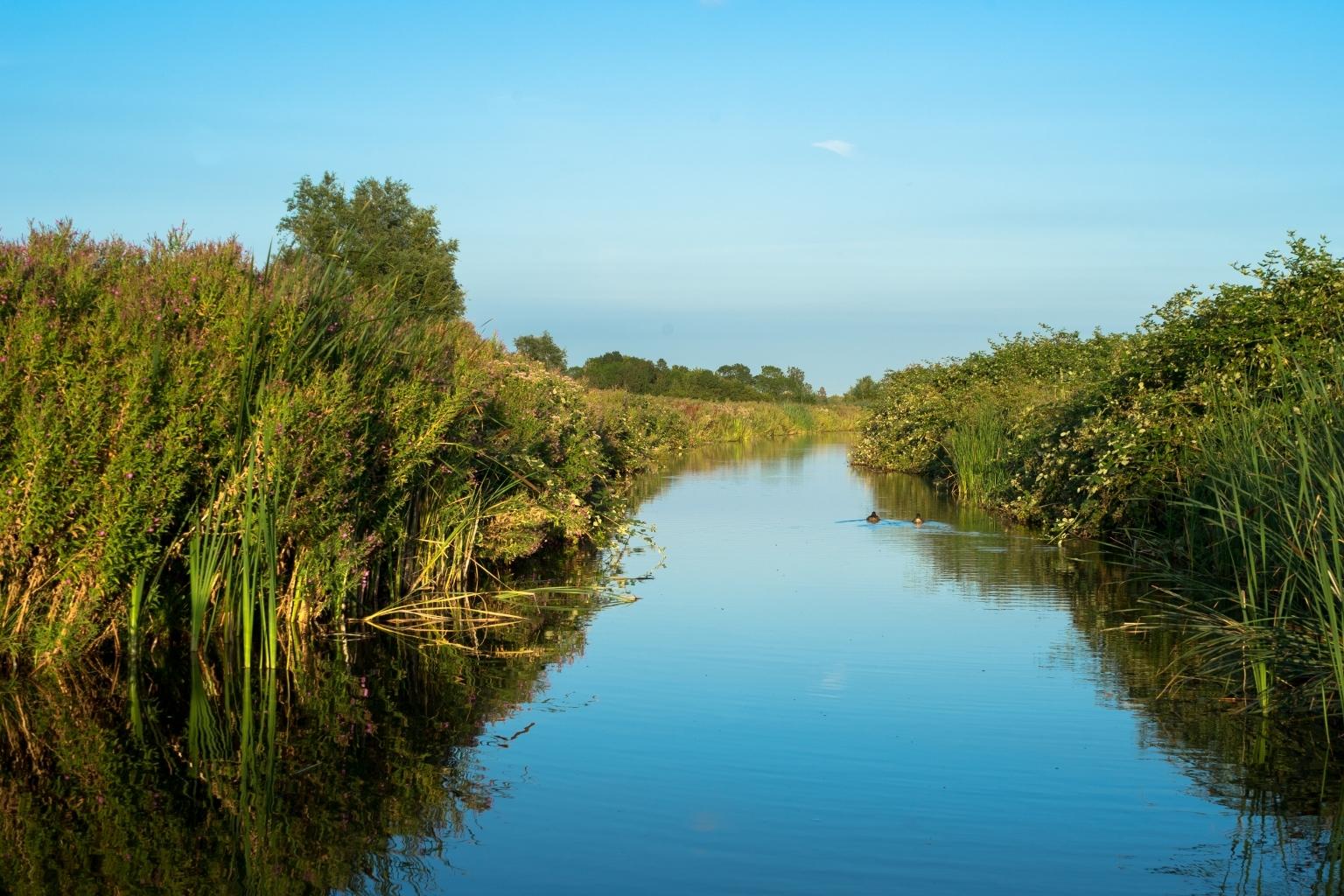 Water landelijk gebied
