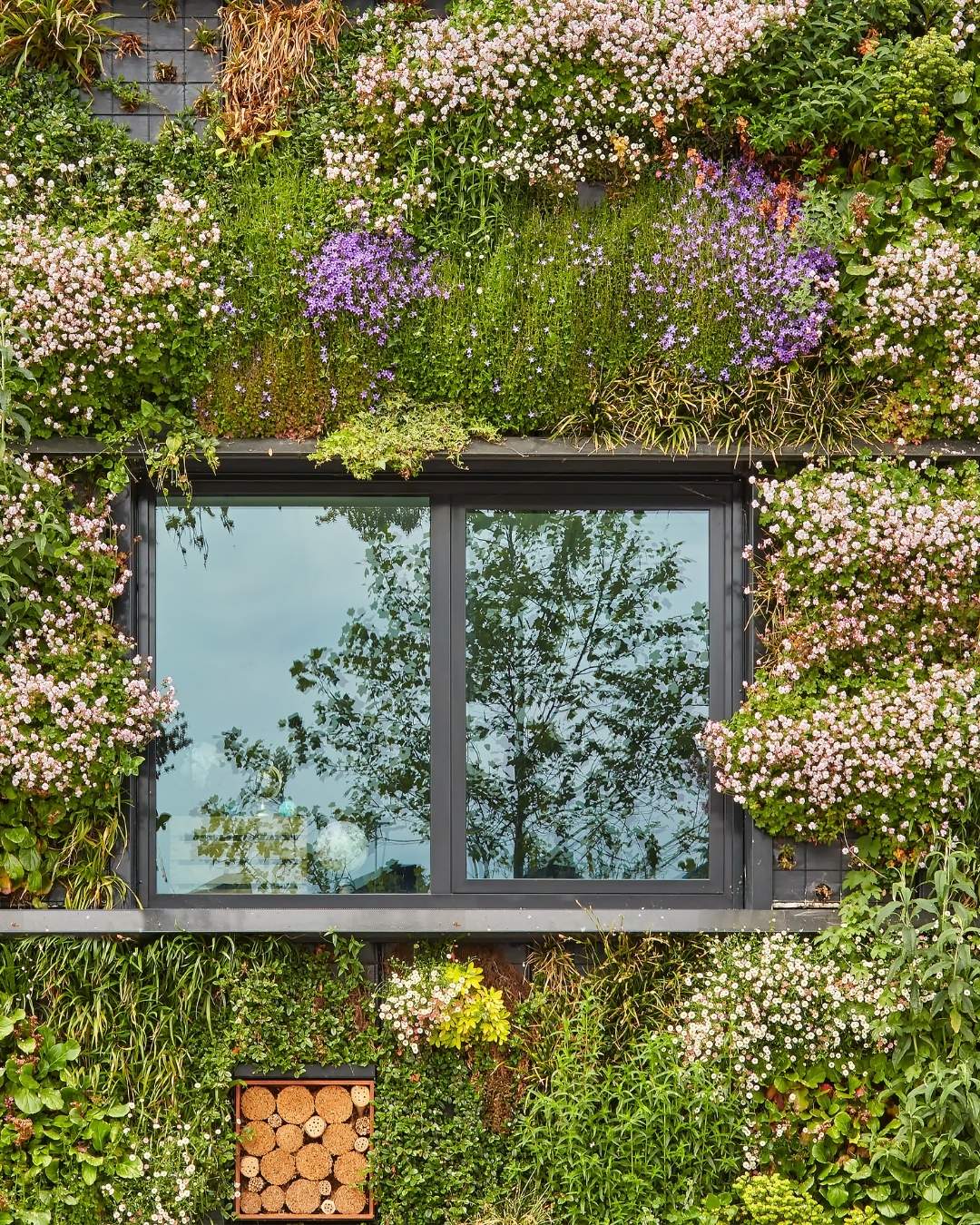 groen beplant gebouw
