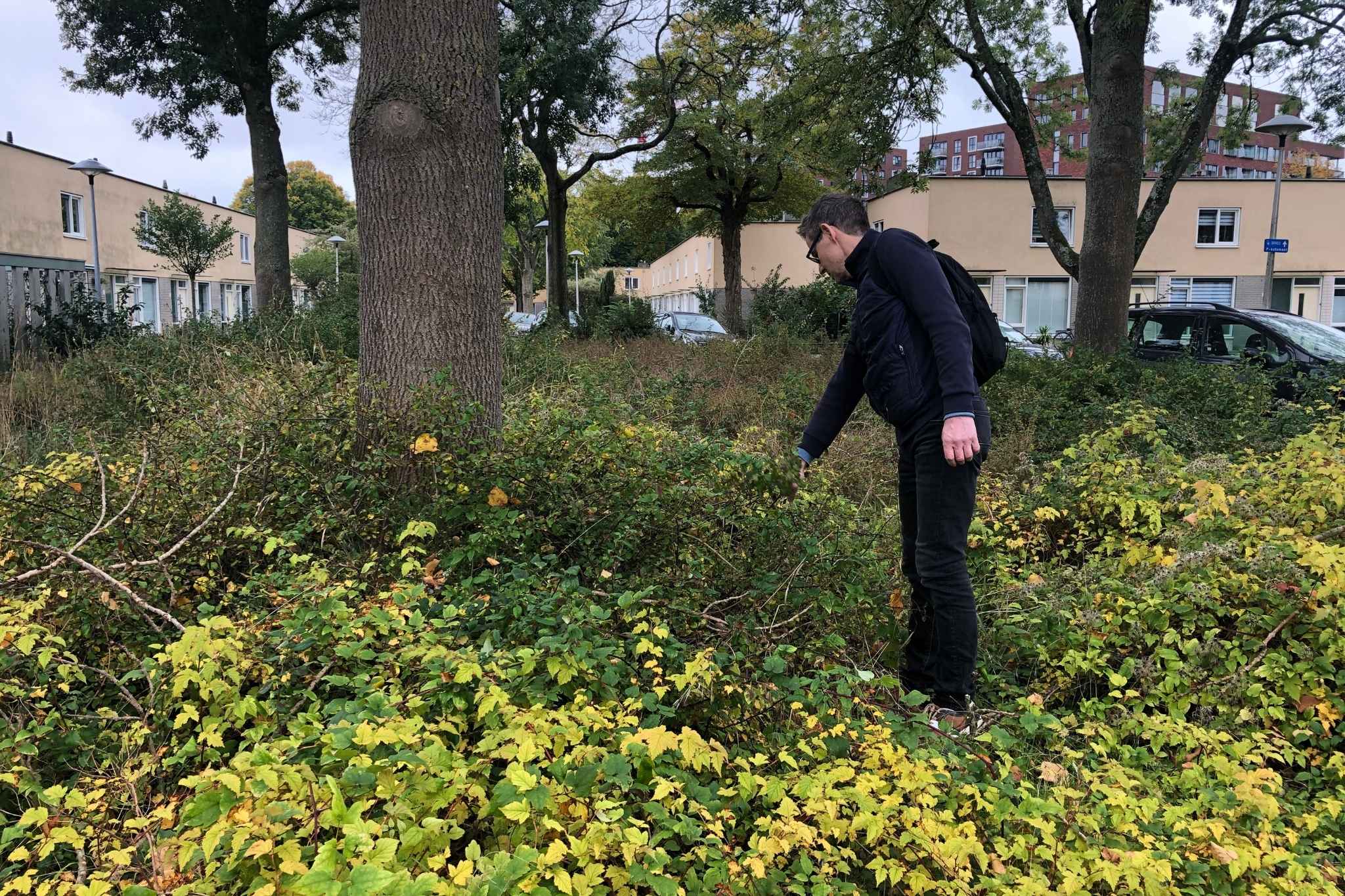 Groen vak Utrecht Zuidwest Patrick