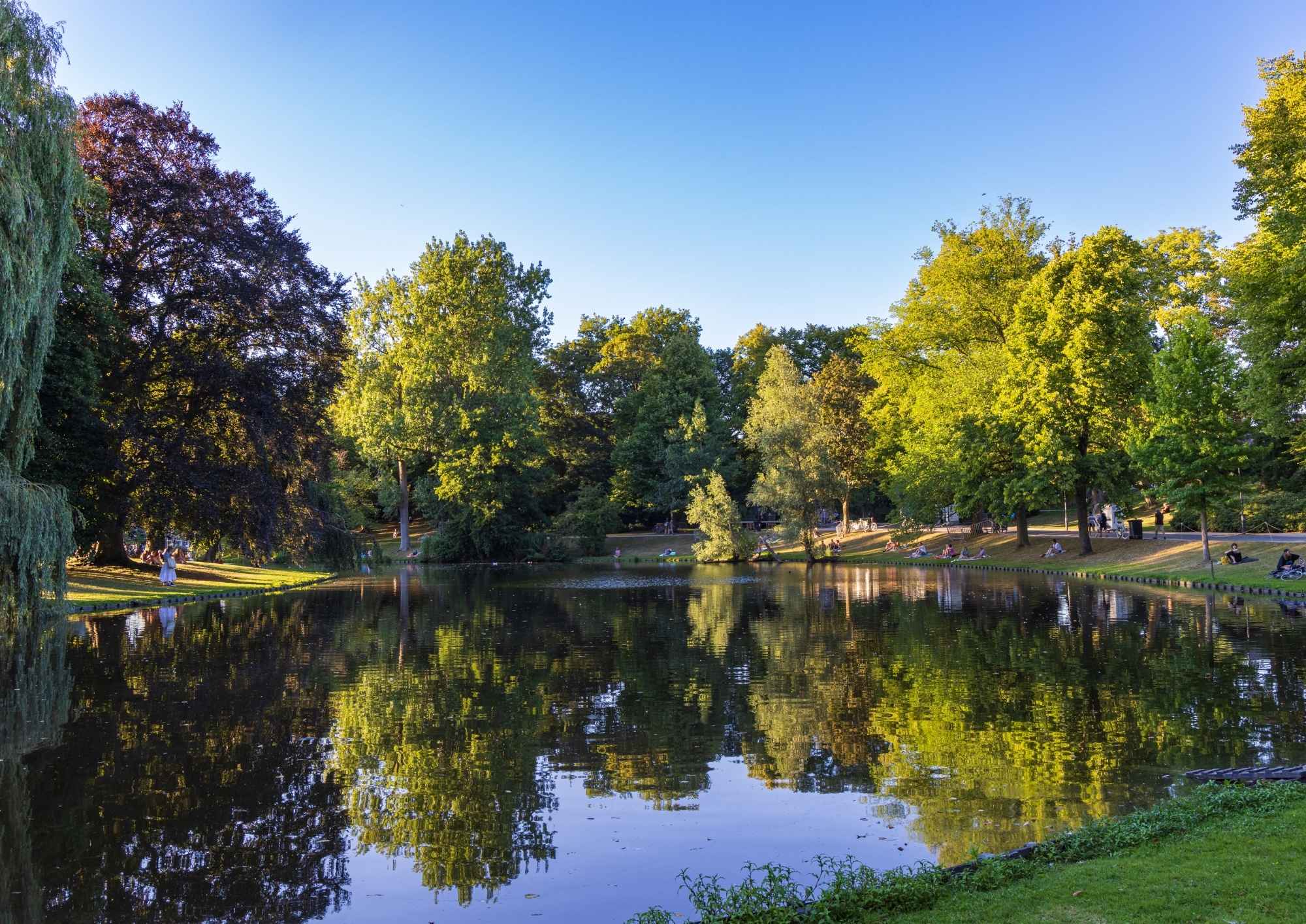 Cool region groningen park