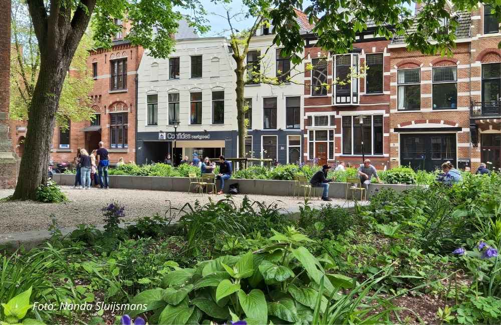 Groene stad